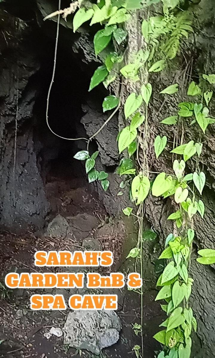 Sarah'S Garden Bnb & Spa Bed & Breakfast Clarin  ภายนอก รูปภาพ